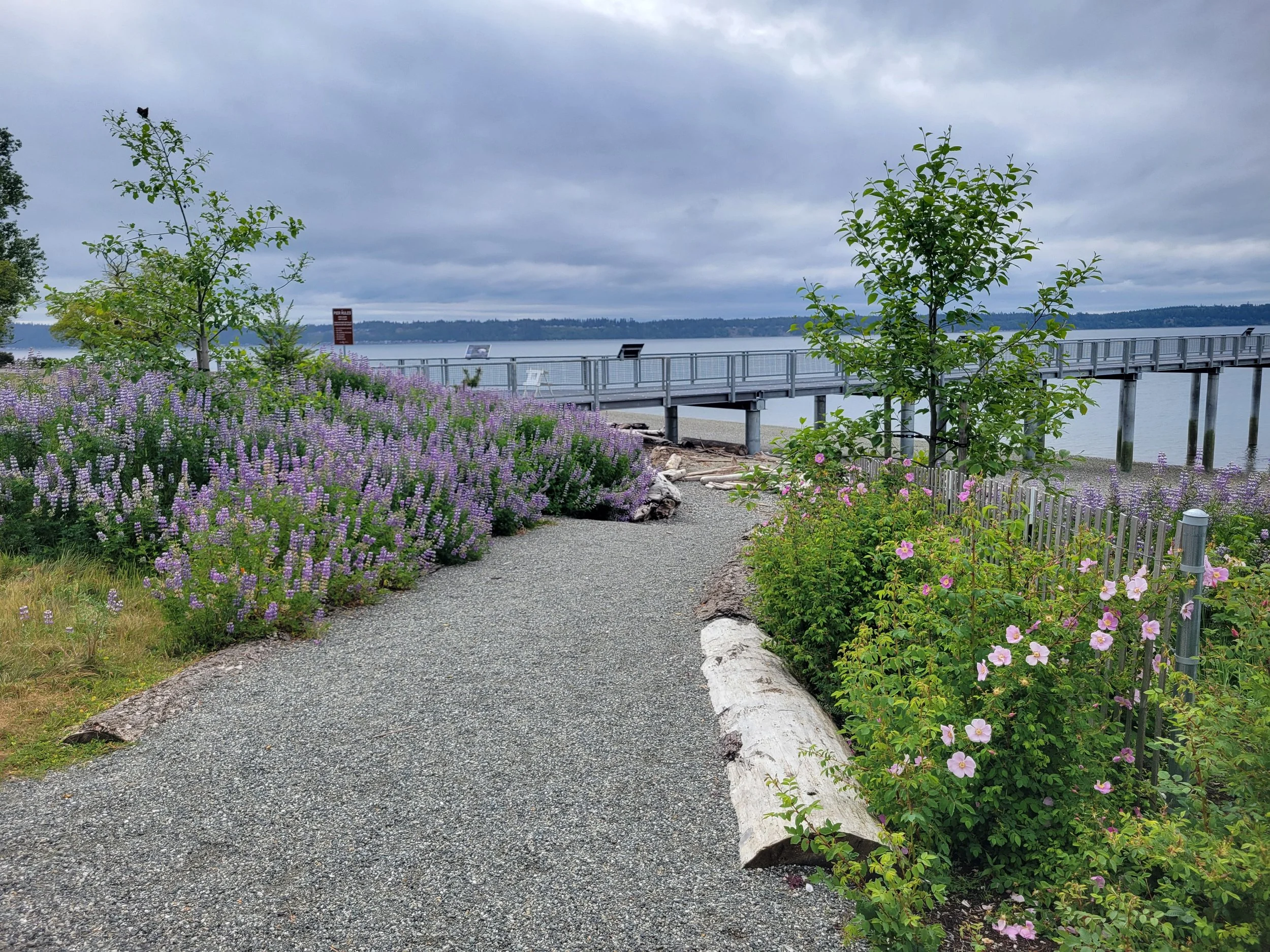 Kayak Point Park- Phase 1