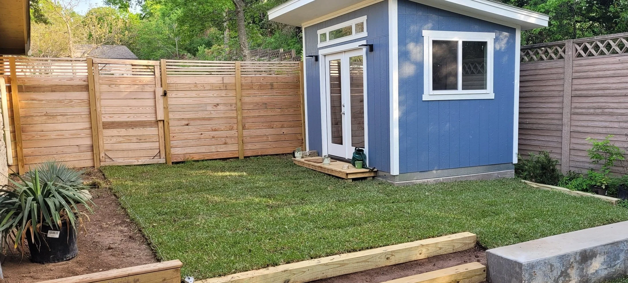 Backyard with green grass, a small blue shed with white trim, a wooden deck, and a wooden privacy fence. There's a plant in a pot on the left, and gardening tools on the shed's small porch.