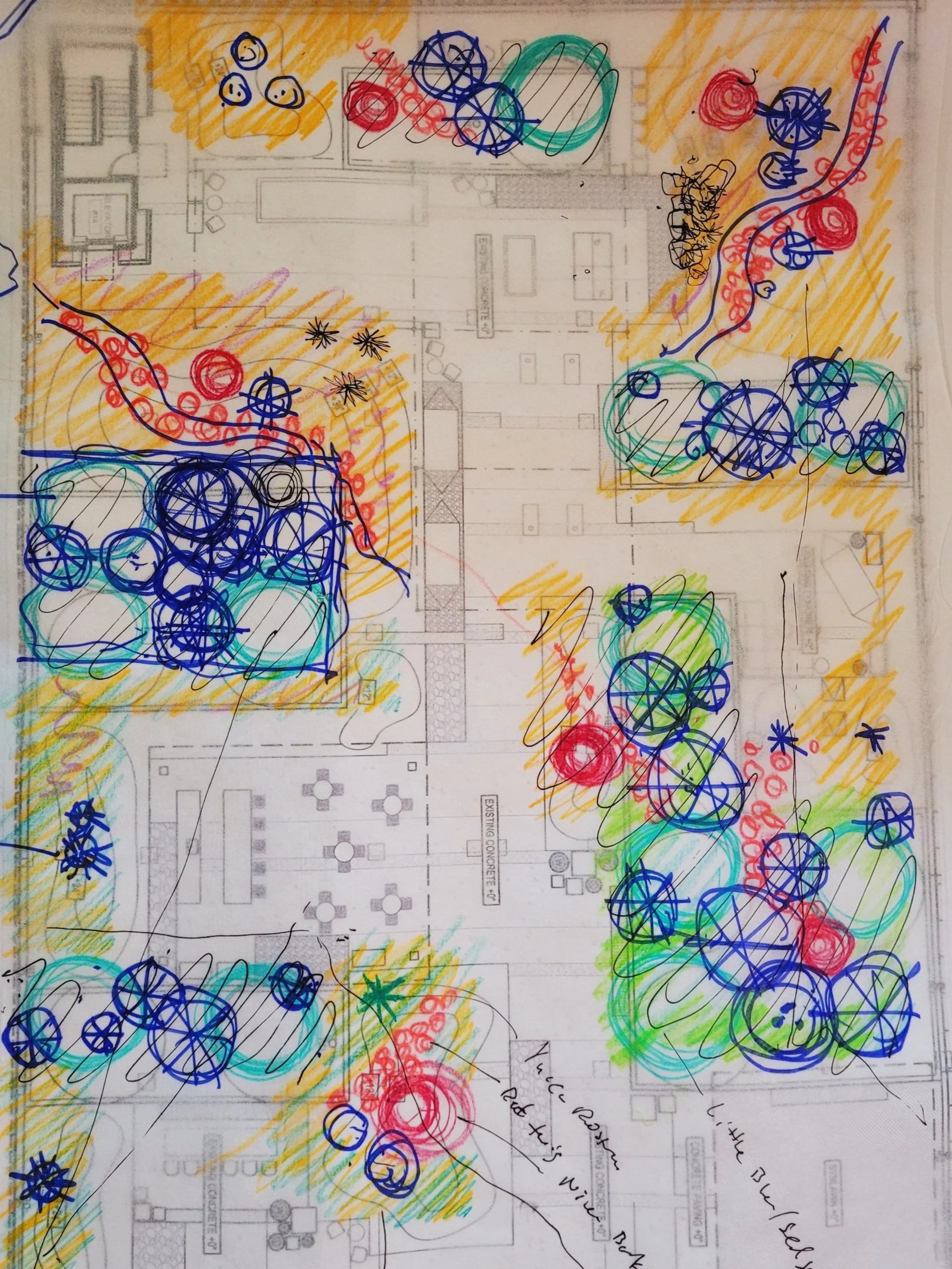 Colorful hand-drawn landscape plan with trees, shrubs, and garden areas marked with circles, lines, and shading on top of a building blueprint.