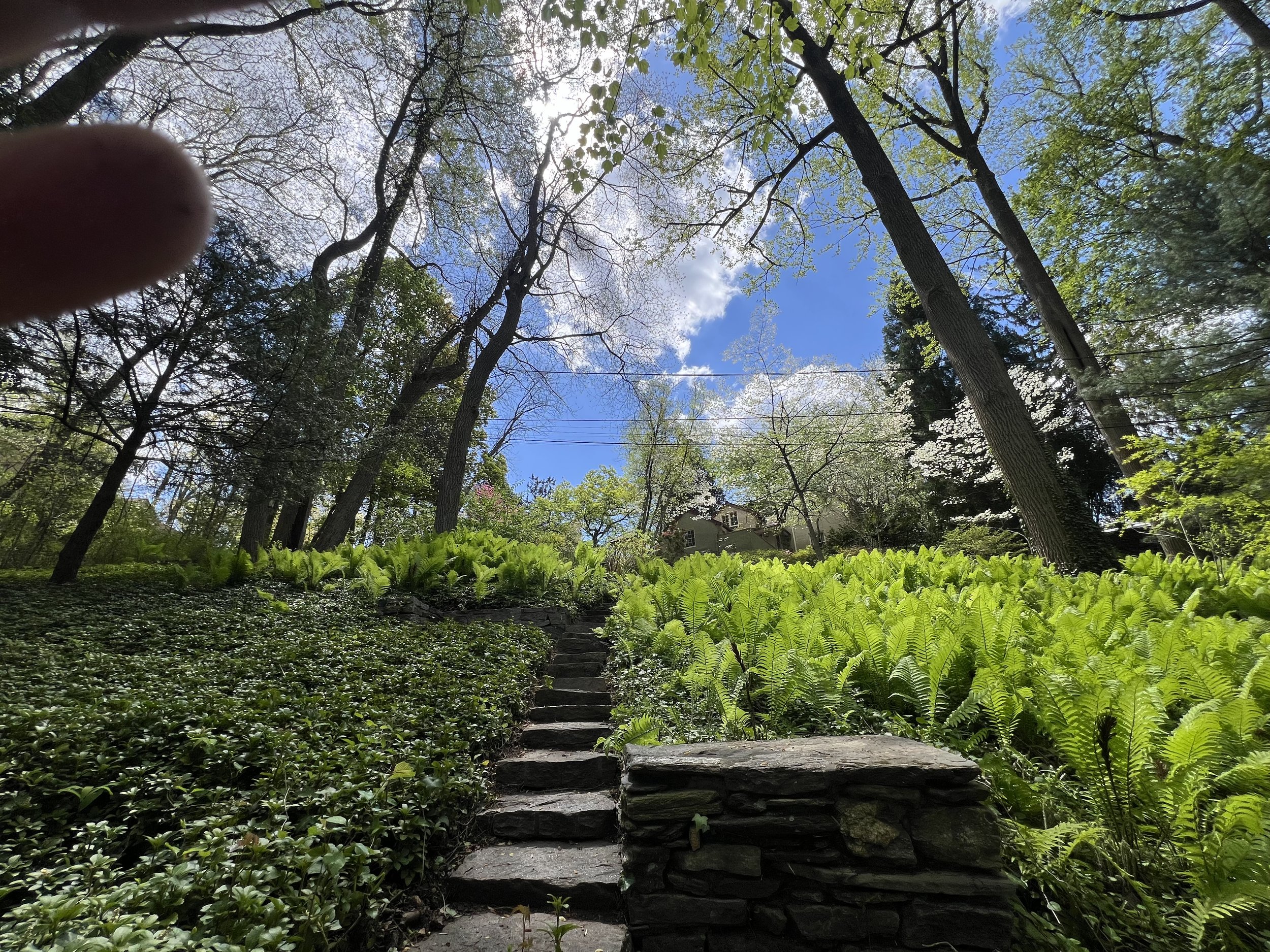 Steps from Vernon Run Creek to our home