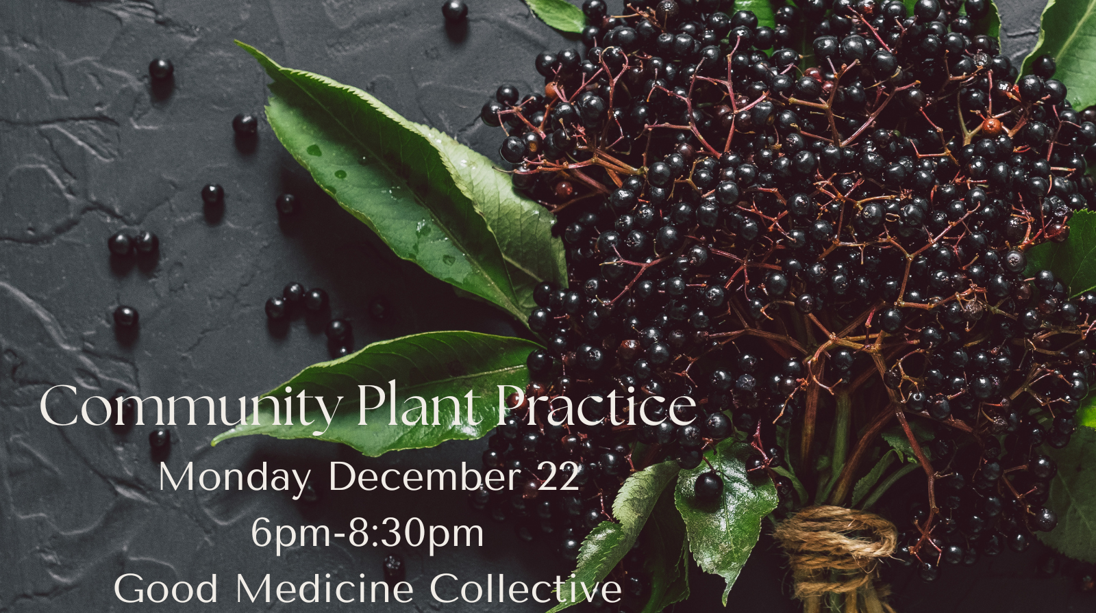 Community Plant Practice 