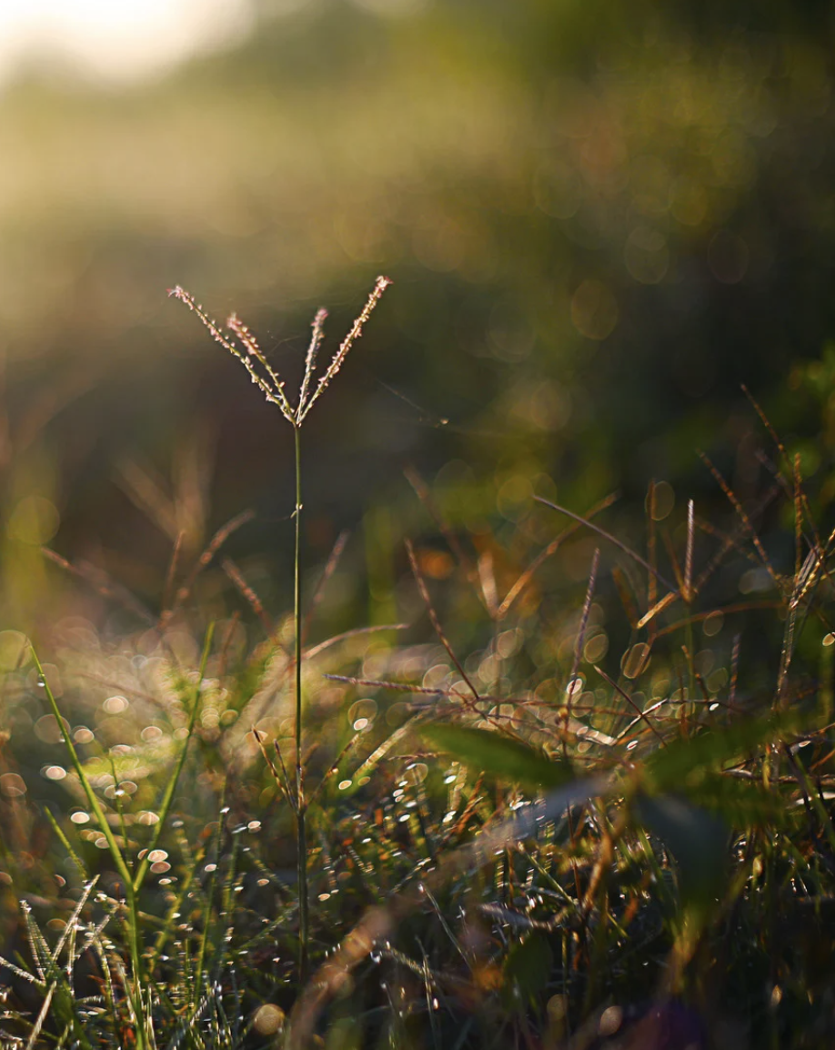 Courage in the Dark: Exploring tender places of the heart