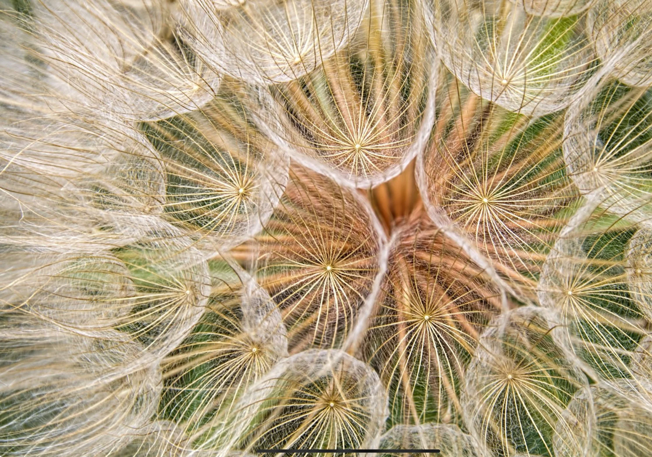 Monthly Community Breathwork Circle