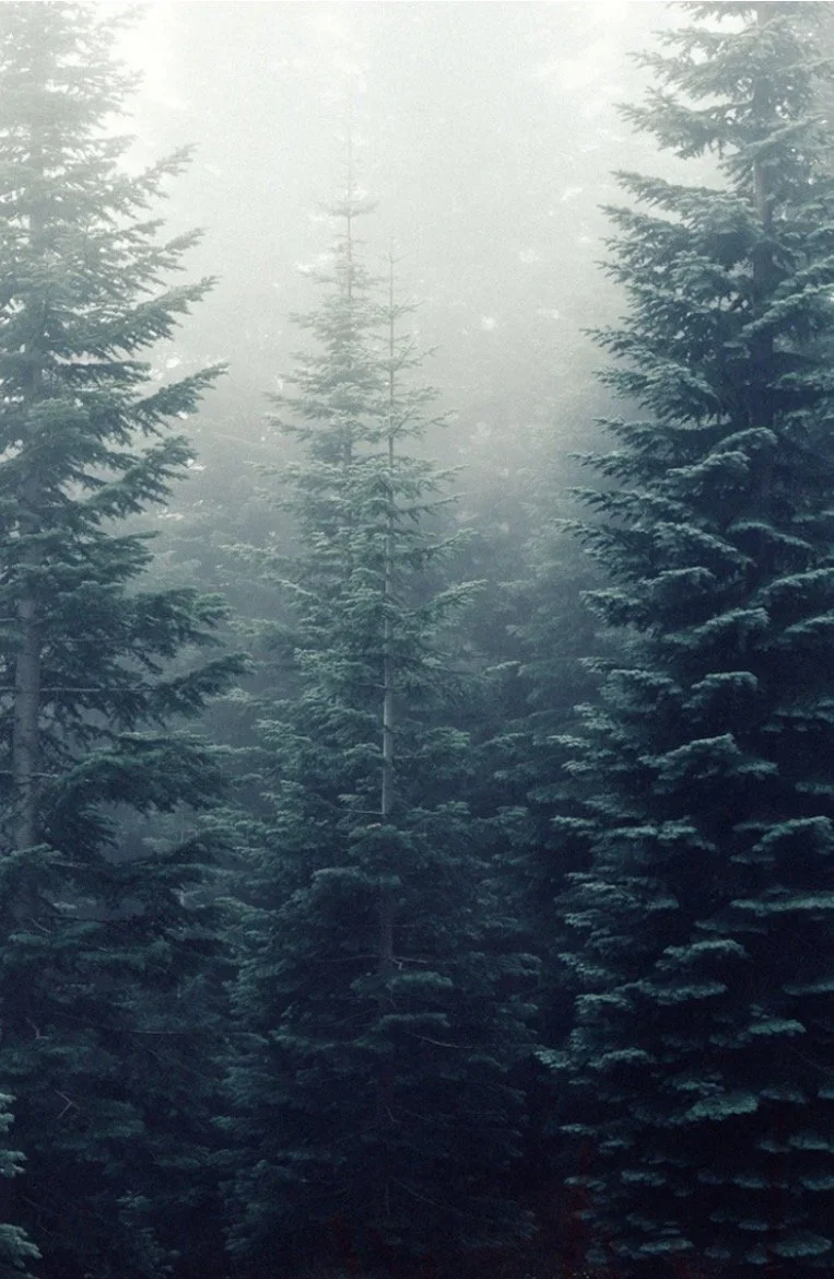 March 3 Day Ketamine for Healers’ Retreat 