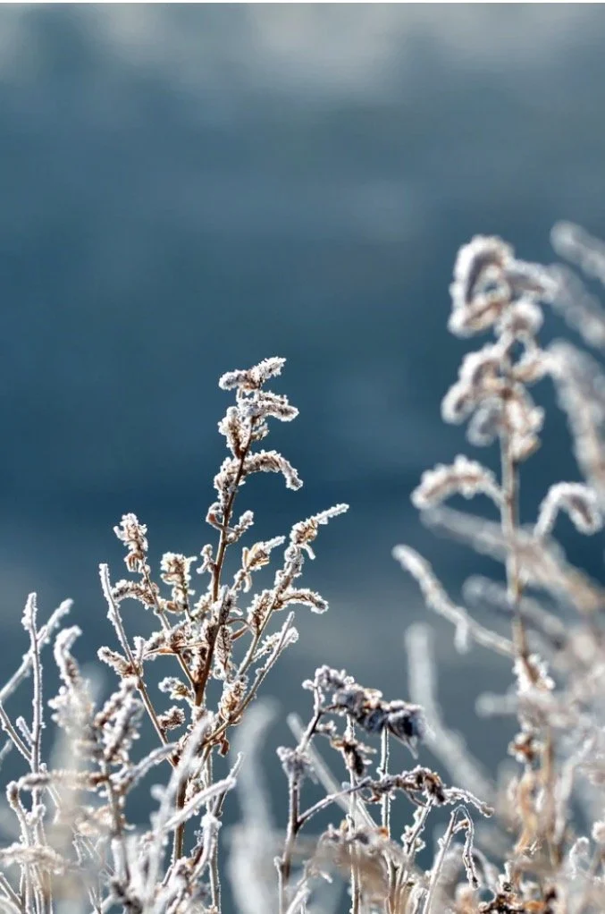 Riverbird Spring Equinox Continuation Group