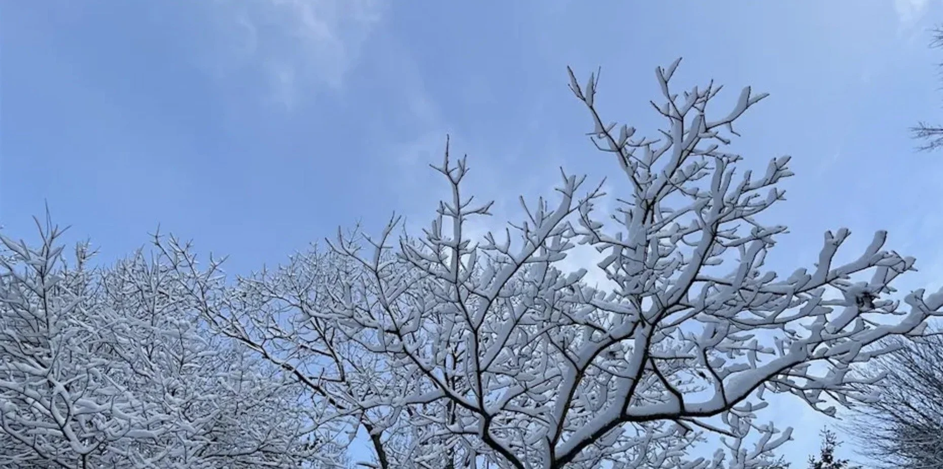 Returning: Sauna, Yoga Nidra and Sound Bath