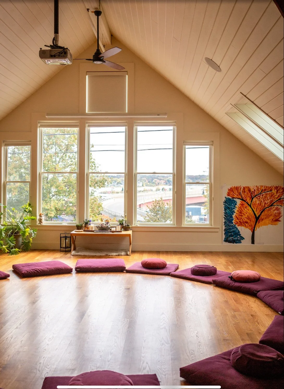 Psychedelic Studio Field Notes