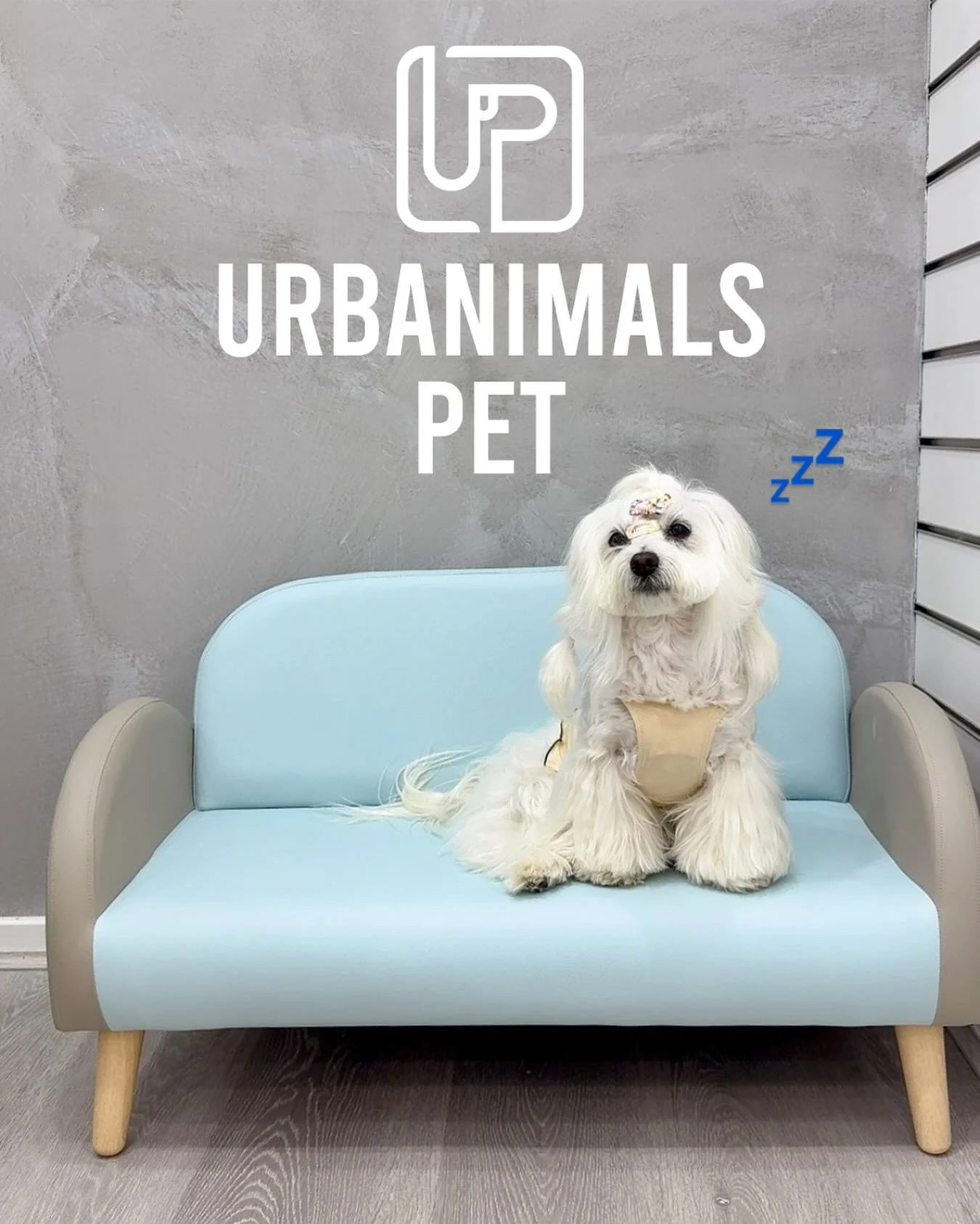 ✨ Our support team fur member, Chiwha, is absolutely exhausted from all the prep work! 🐾💤 But we’re finally ready to welcome you back this Saturday, 20th September 🎉
📞 Call us at (02) 9662 7367
✉️ Email us at zetland@urbanimalspet.com
We