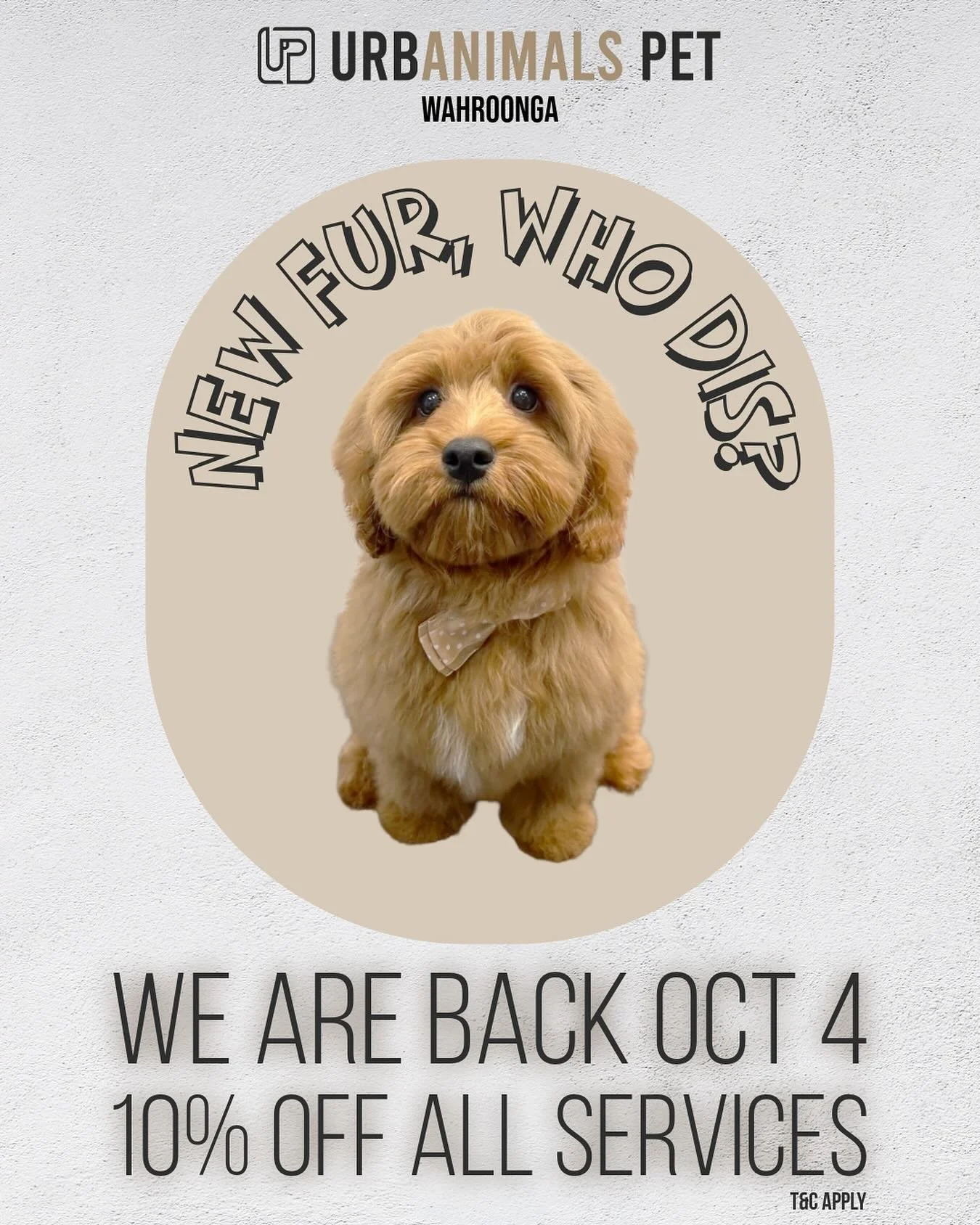 The wait is almost over! 🎉 Urbanimals Pet Wahroonga is back Oct 4 and your pup&rsquo;s glow-up is just an email away ✨ Enjoy 10% off all services (limited time).
📩 Email wahroonga@urbanimalspet.com
 to secure your spot. Same team, same love, fresh 
