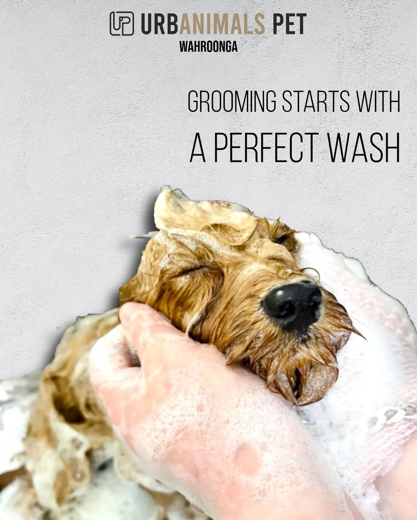 Suds, smiles, and silky coats, it all starts with the perfect wash! 🐶🛁
We&rsquo;re open and ready to welcome you to Urbanimals Pet Wahroonga! ✨
Summer&rsquo;s on the way - let&rsquo;s get your pups fresh, fluffy, and feeling their best. ☀️
📞 Call 