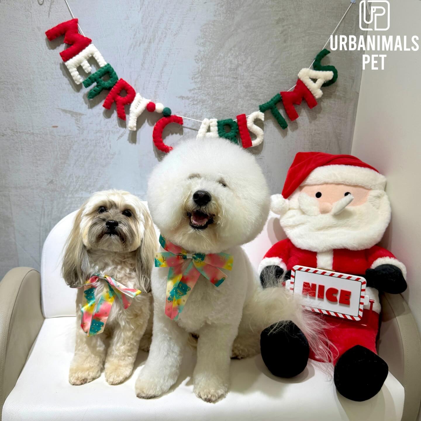 Better late than never &mdash; Christmas 2025 at Urbanimals Pet Wahroonga (pt. 4) ✨🎄
#urbanimalspet #urbanimalspetwahroonga #wahroonga #doggrooming #localindependant