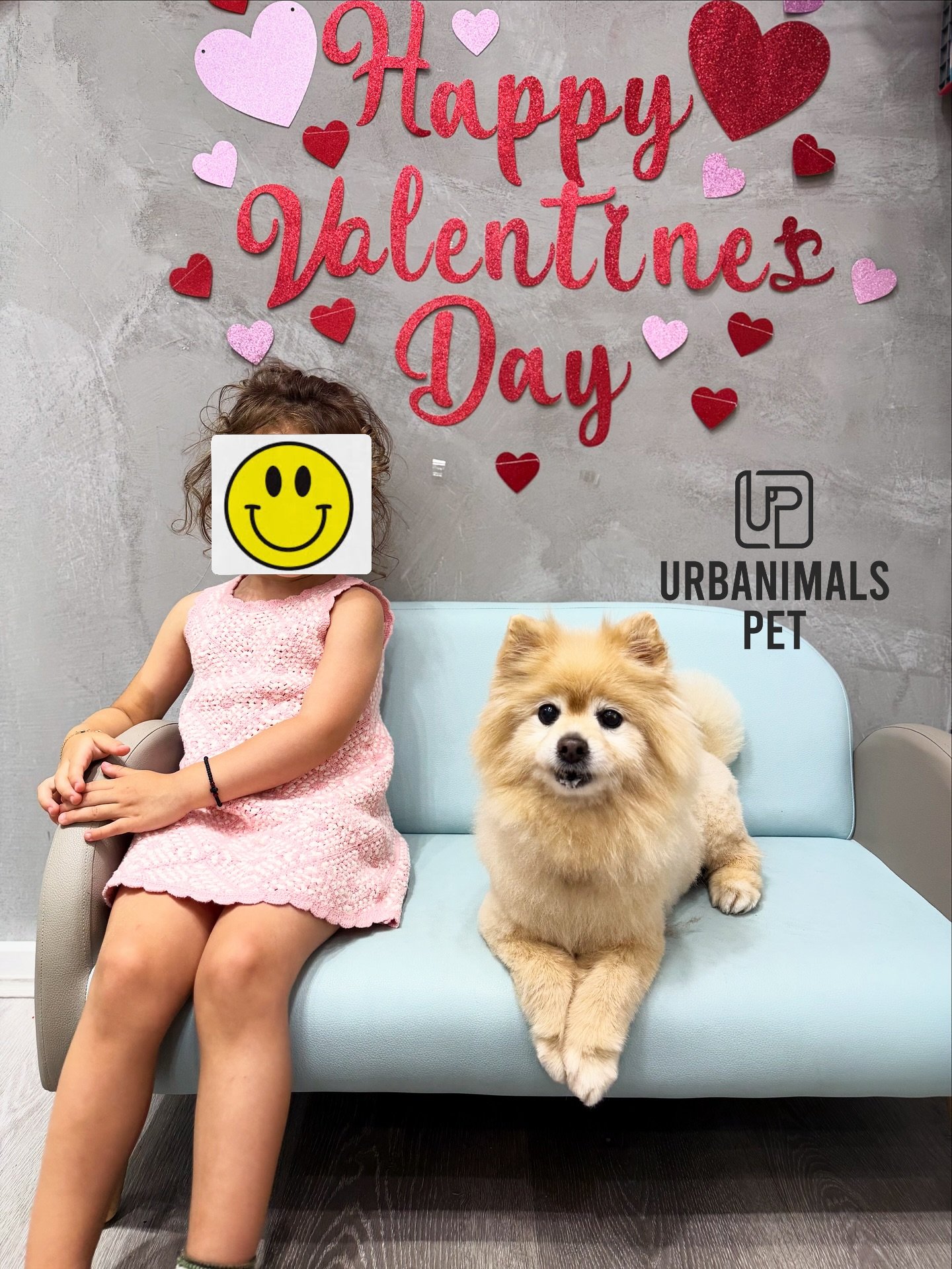 Finishing off our month of LOVE with this Valentine&rsquo;s cuteness overload 💘🐾
Fresh grooms, red heart bows, and the sweetest little faces. We are still OBSESSED ❤️✨🥰
Thank you to all our beautiful clients for celebrating with us and trusting us