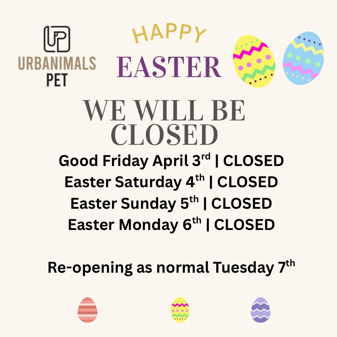 🚨 EASTER CLOSURE DATES 🐾🐣
Hi fam! Just a quick heads-up ✨
We&rsquo;ll be closed from April 3rd to April 6th and will reopen on April 7th 💙
🎉 Special Offer until April 2nd!
Enjoy FREE daycare all day with every grooming session 🐶🛁
Drop your pup