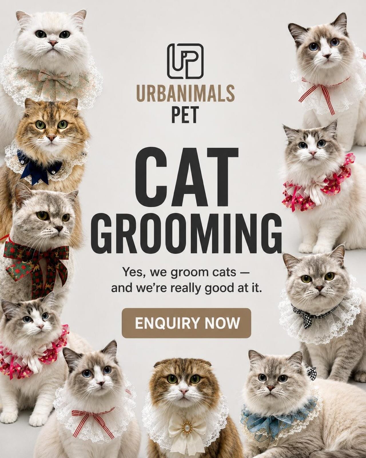 Whether your cat just needs a tidy up, a good de-shed, or a full reset on their coat, our grooming team is here to help 🐱✨🛁

Calm handling, experienced groomers, soft fluffy coats, and way less fur floating around your house afterwards? Everybody w