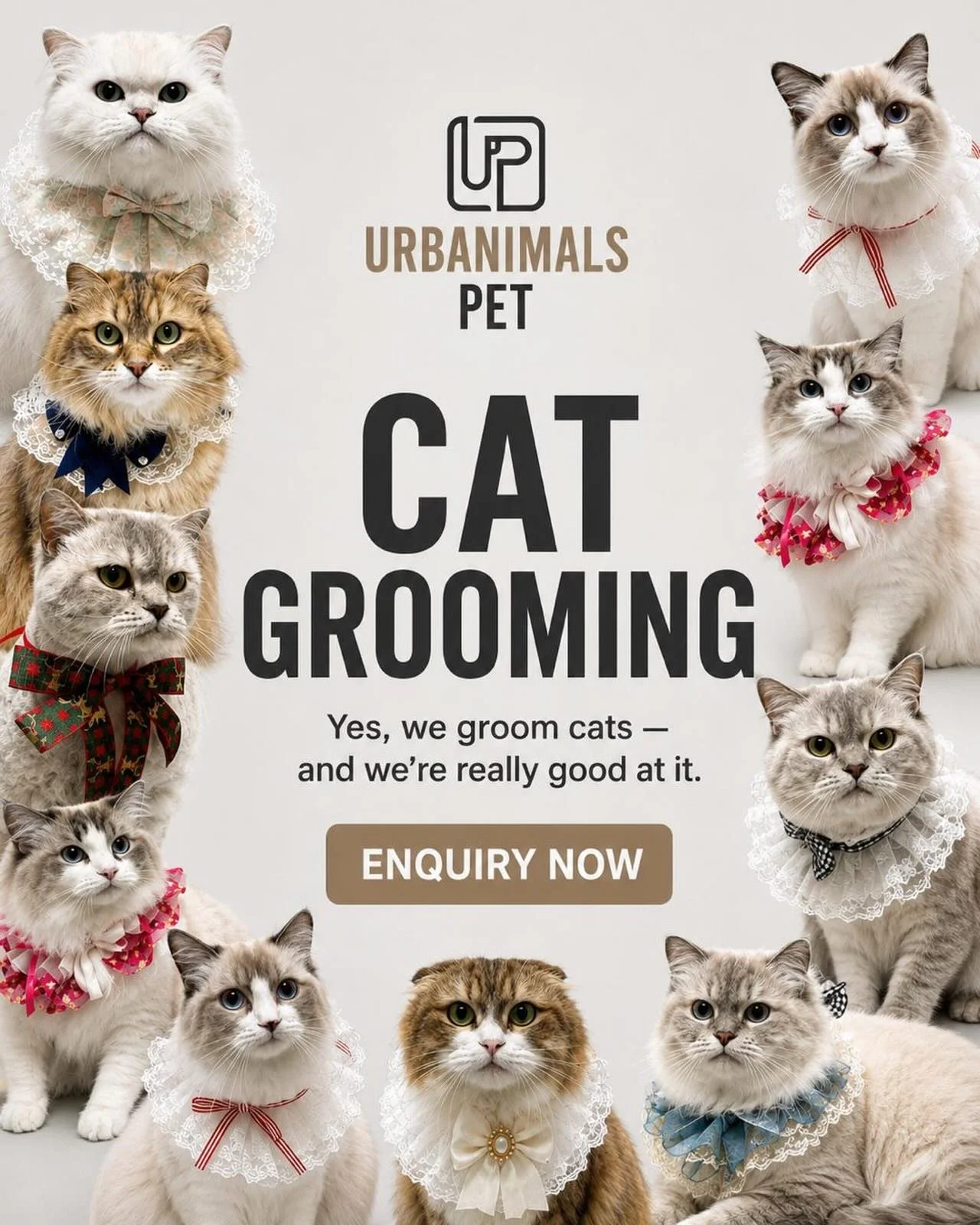 🐱 Cat grooming specialists are closer than you think.

Whether it&rsquo;s a tidy-up, deshedding treatment, hygiene clip, or a full lion cut, our experienced team provides gentle, professional grooming for cats of all breeds.

📞 02 9662 7367
📱 0414