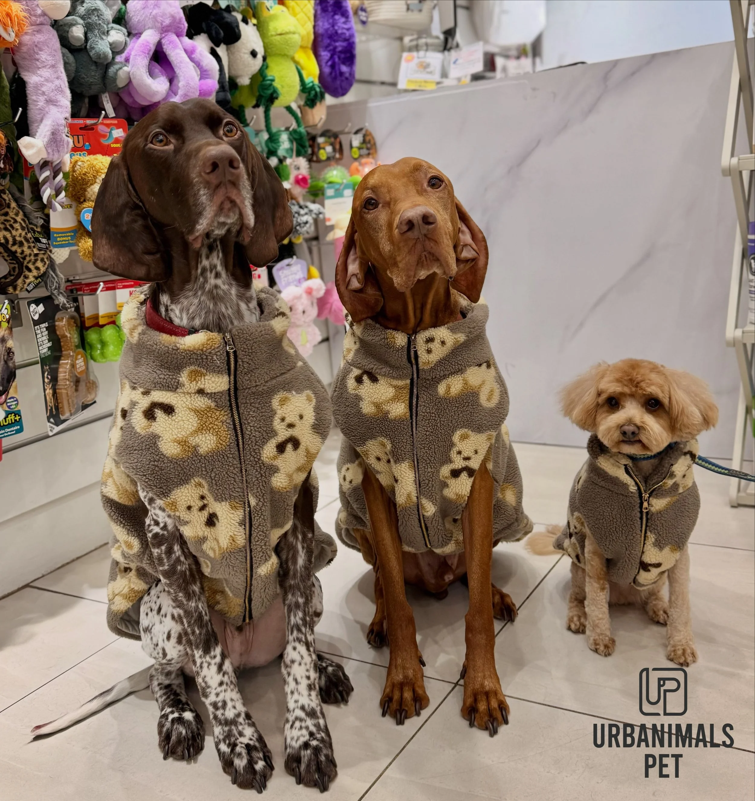 Cold mornings call for cosy jumpers! ❄️🐶
We&rsquo;ve still got a limited range of winter apparel available, but once it&rsquo;s gone, it&rsquo;s gone. Stop by in store and keep your furry friend warm for the rest of winter.
#urbanimalspetwahroonga #