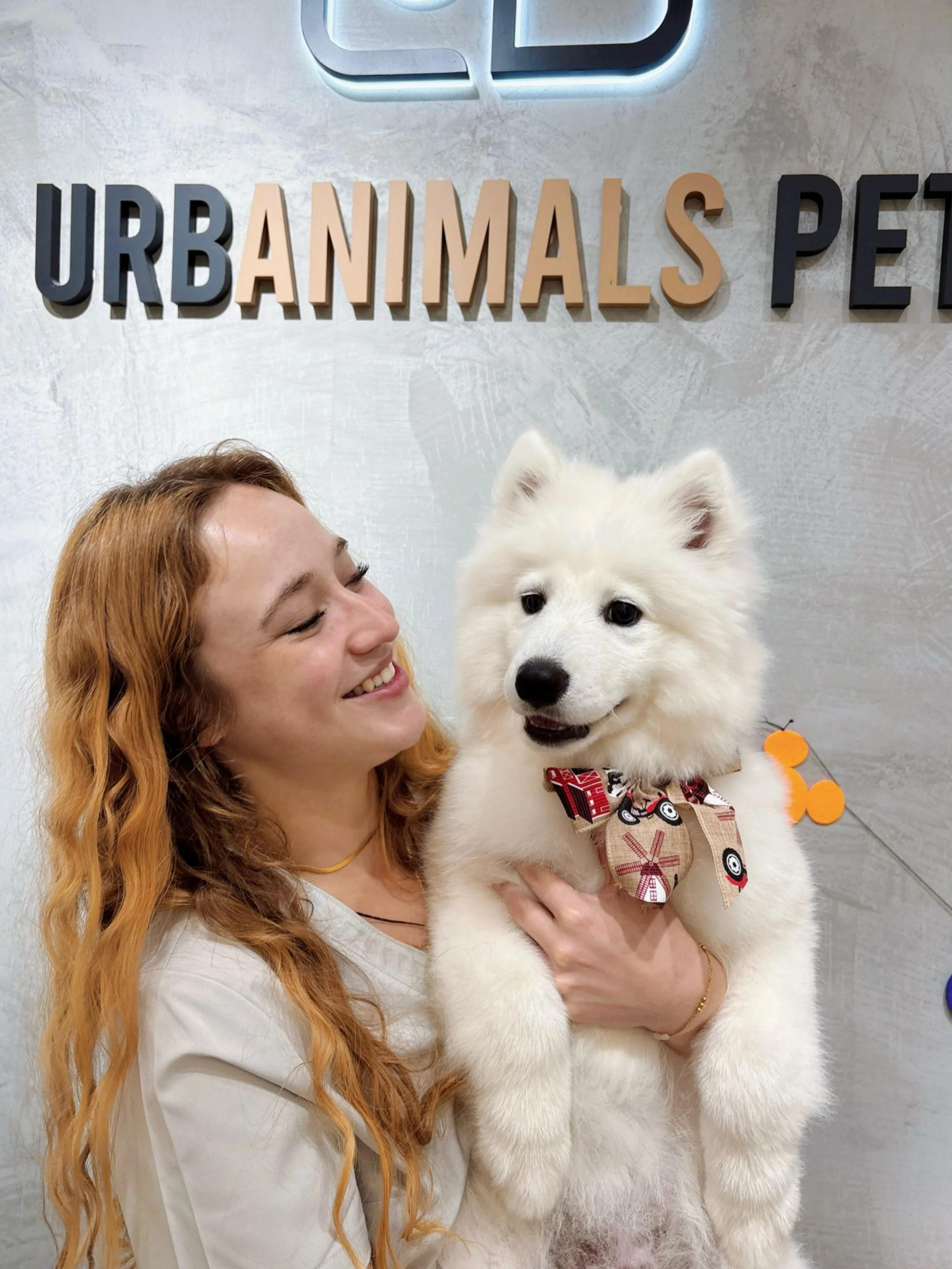 🤍 Meet our little cloud of fluff! ☁️🐾

Just 3 months old, this gorgeous Samoyed girl came in for her very first Wash &amp; Tidy! 🛁✨

Sweet, cuddly, and oh-so-attached to her humans &mdash; she just wanted all the love and cuddles! 🥹💕

A little b