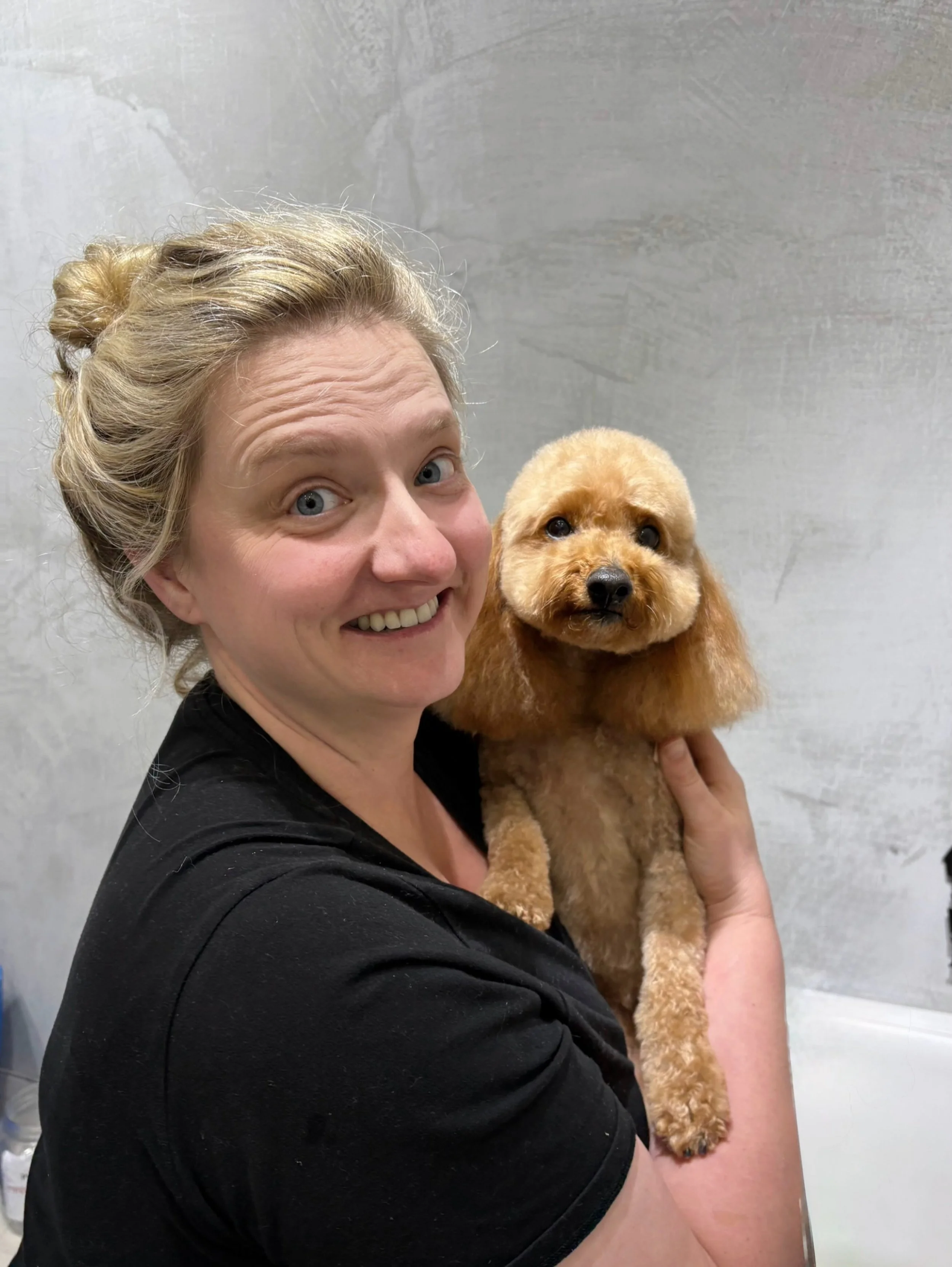 💕 A little teddy bear, a whole lot of love! 🧸🐾

Peggy Sue, our adorable little Toy Cavoodle, is looking extra fluffy after her Full Groom! ✂️✨

Nothing beats a cuddle with your freshly groomed little sweetheart. Just look at that precious face! 🥹