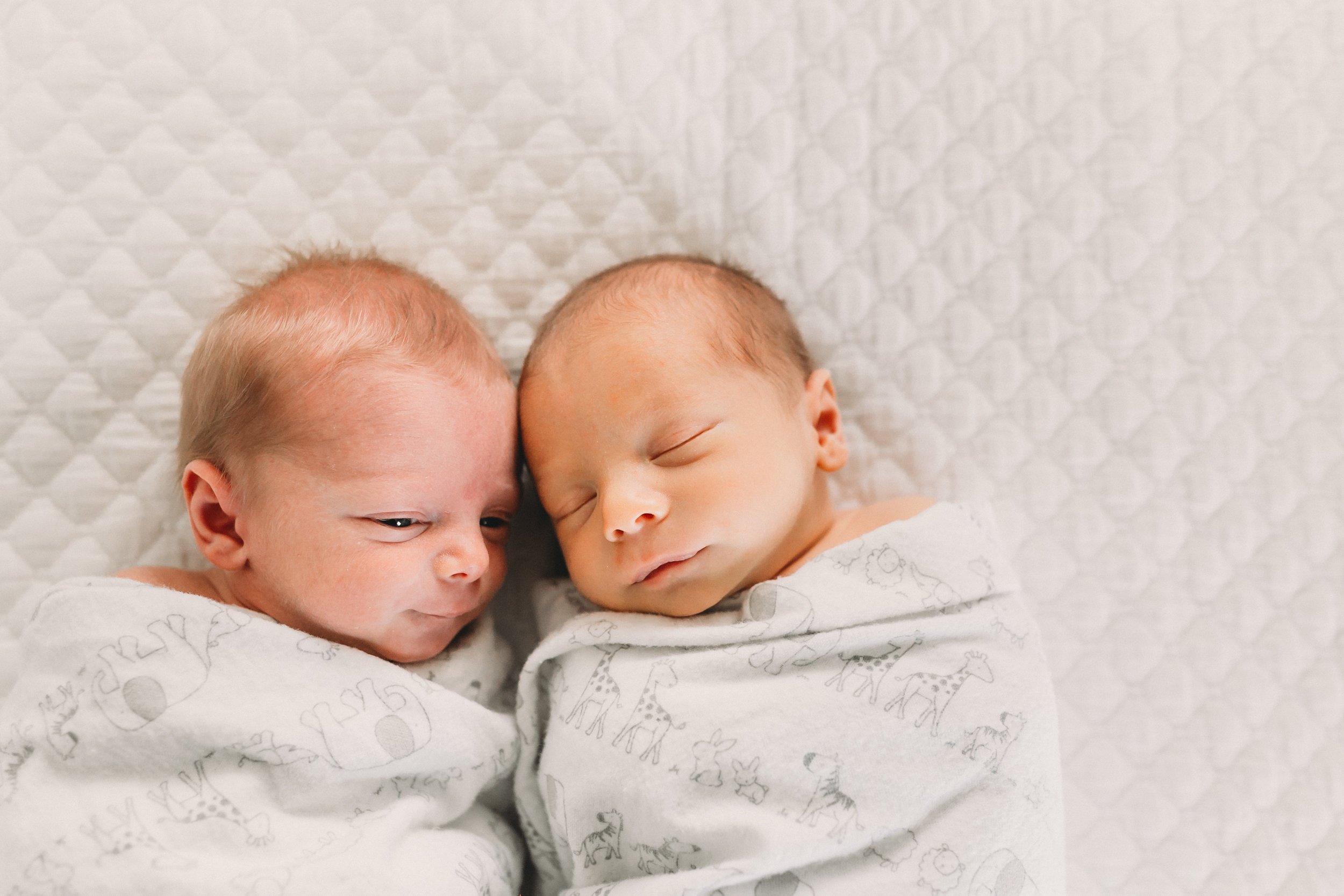 StewartJanuary2018KaileeRichesPhotography-70.jpg