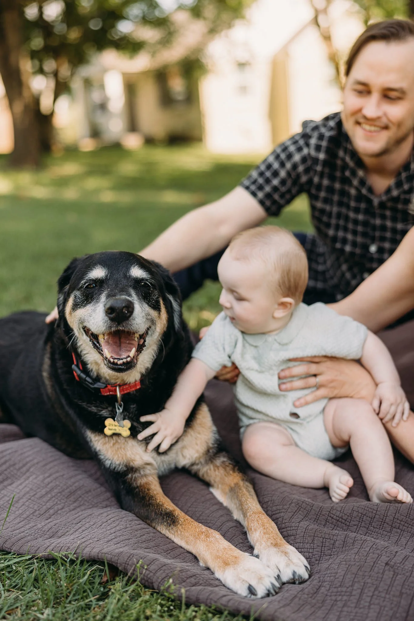 Dog meeting newborn baby during in-home lifestyle family photography session