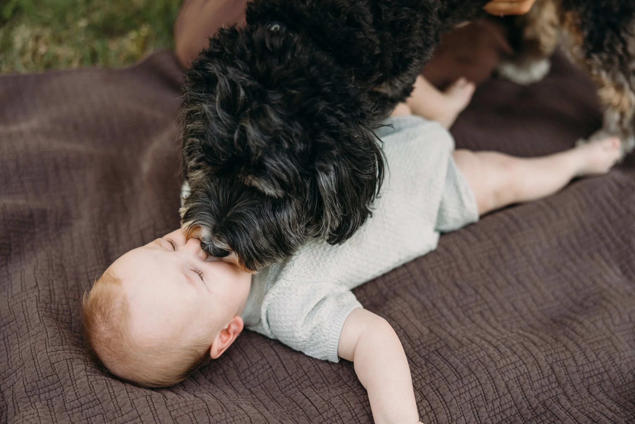 Dog meeting newborn baby during in-home lifestyle baby photography session