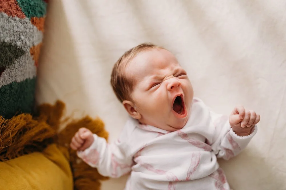 newborn-photographer-nashville-2-1.jpg