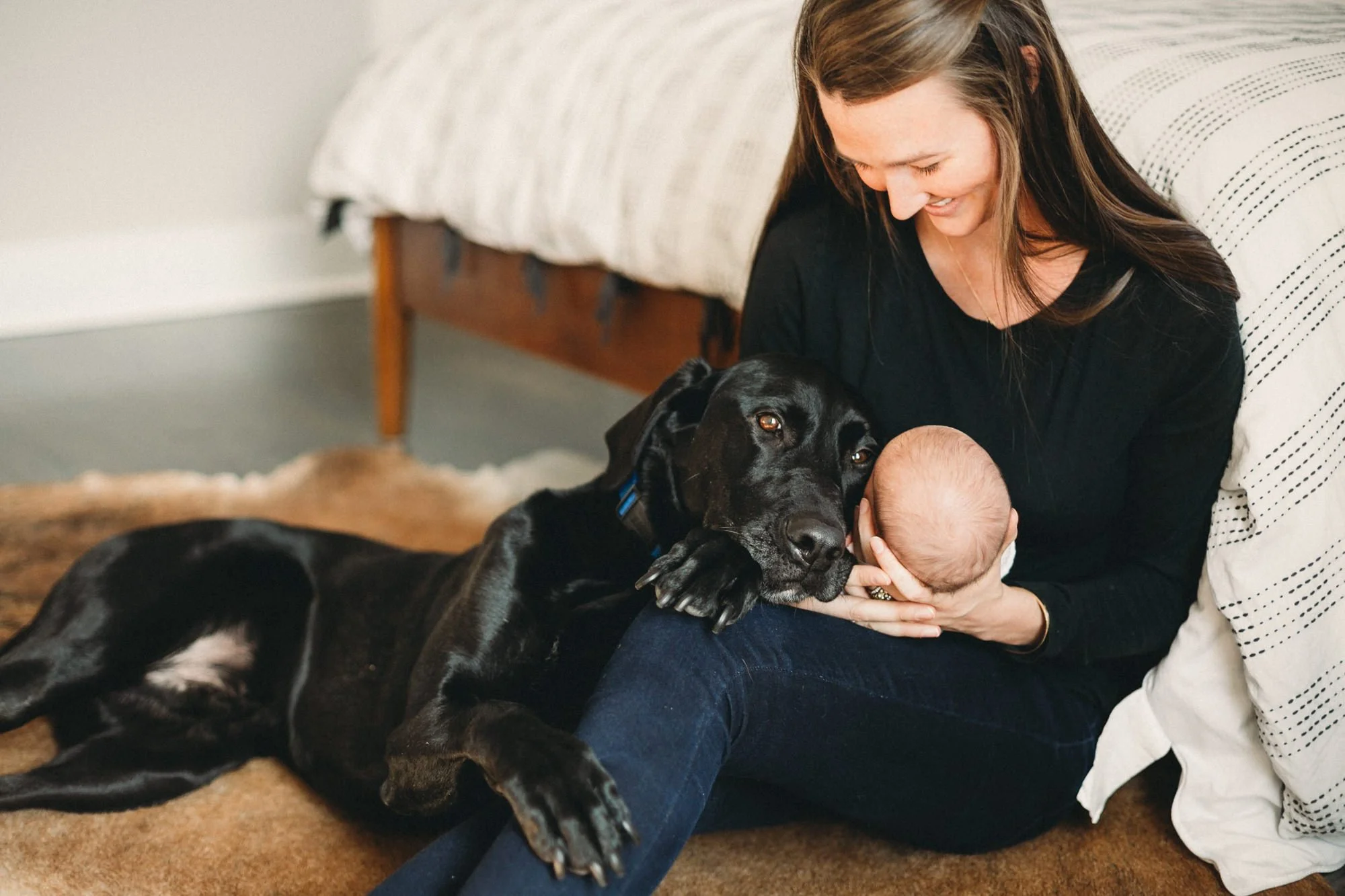 Pet dog laying next to newborn in Nashville