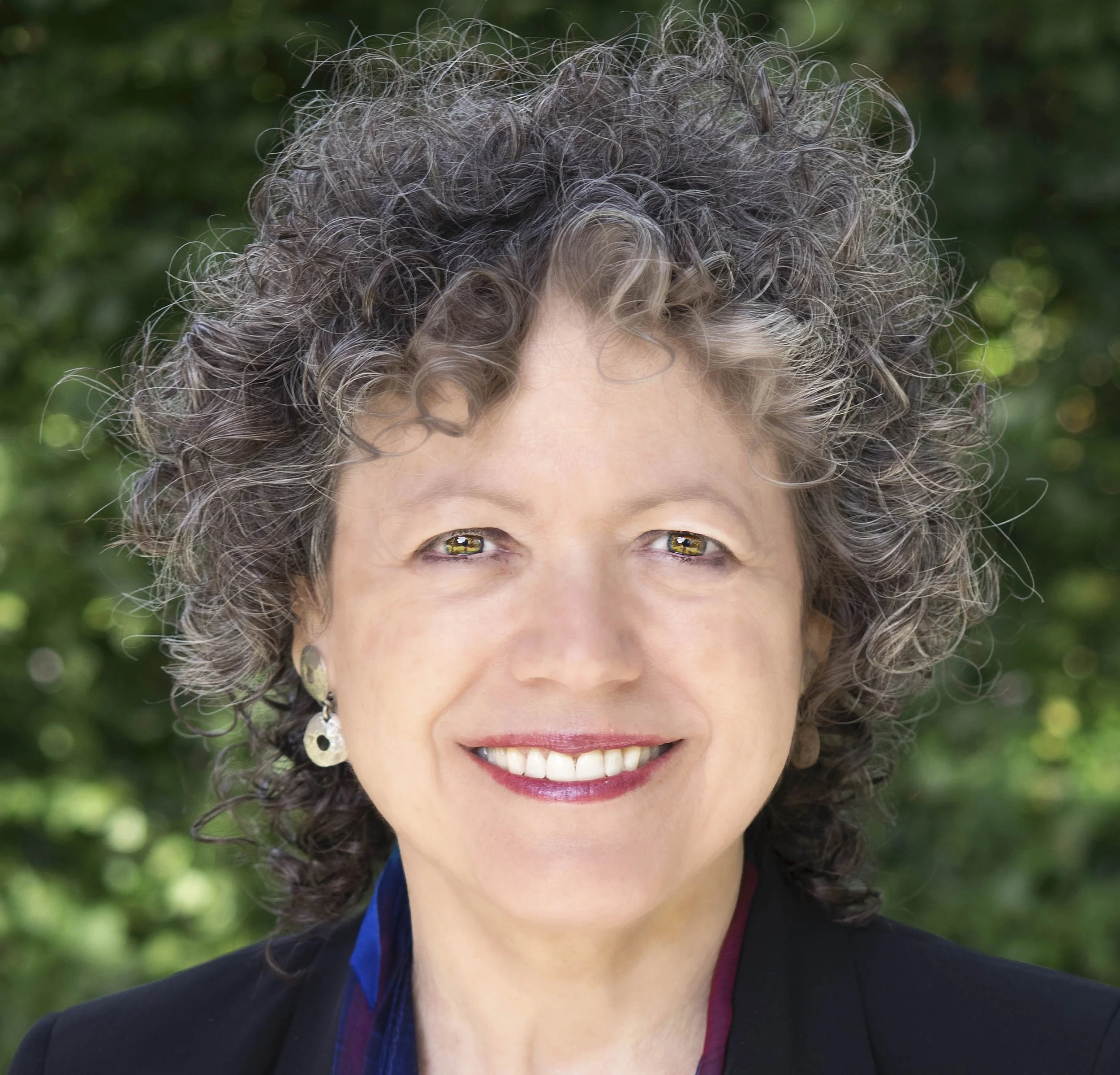 Vivien Schmidt Discusses the Power of Ideas and Discourse for Interpretive Methods
