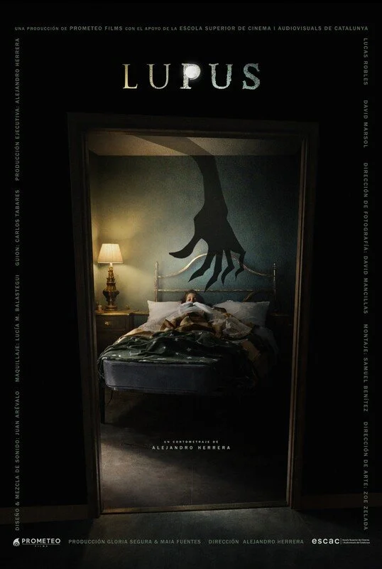 LUPUS (Spain) - Alejandro Herrera;
In the middle of the night, a boy is startled by the sound of breaking glass and the presence of a creature in his home. With a lamp in hand, he ventures into the hallway to discover what lurks in the darkness.