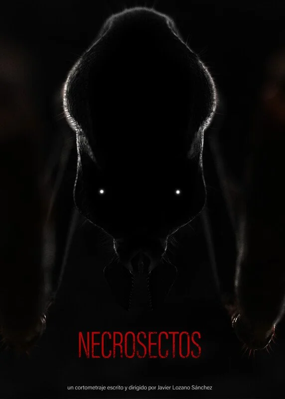 NECROSECTOS (Spain) - Javier Lozano;
An invasion of strange insects disrupts a family's world.