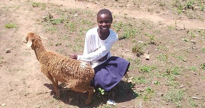2025 April - Alupo Sharon - Sheep Sharon.jpg