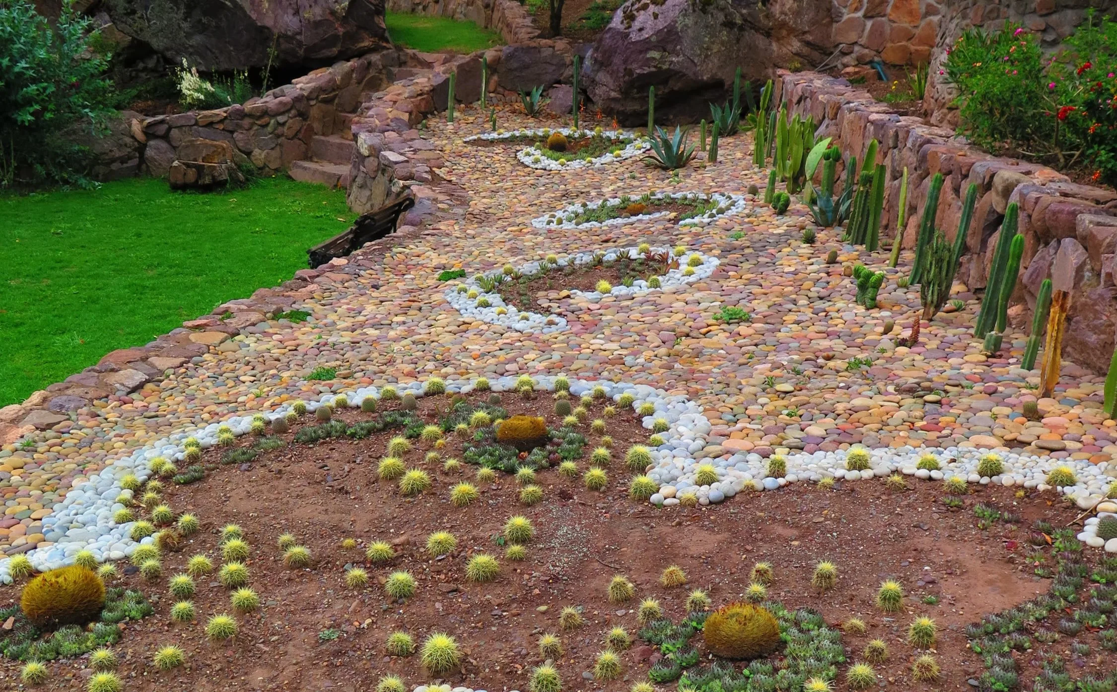 Cactus garden