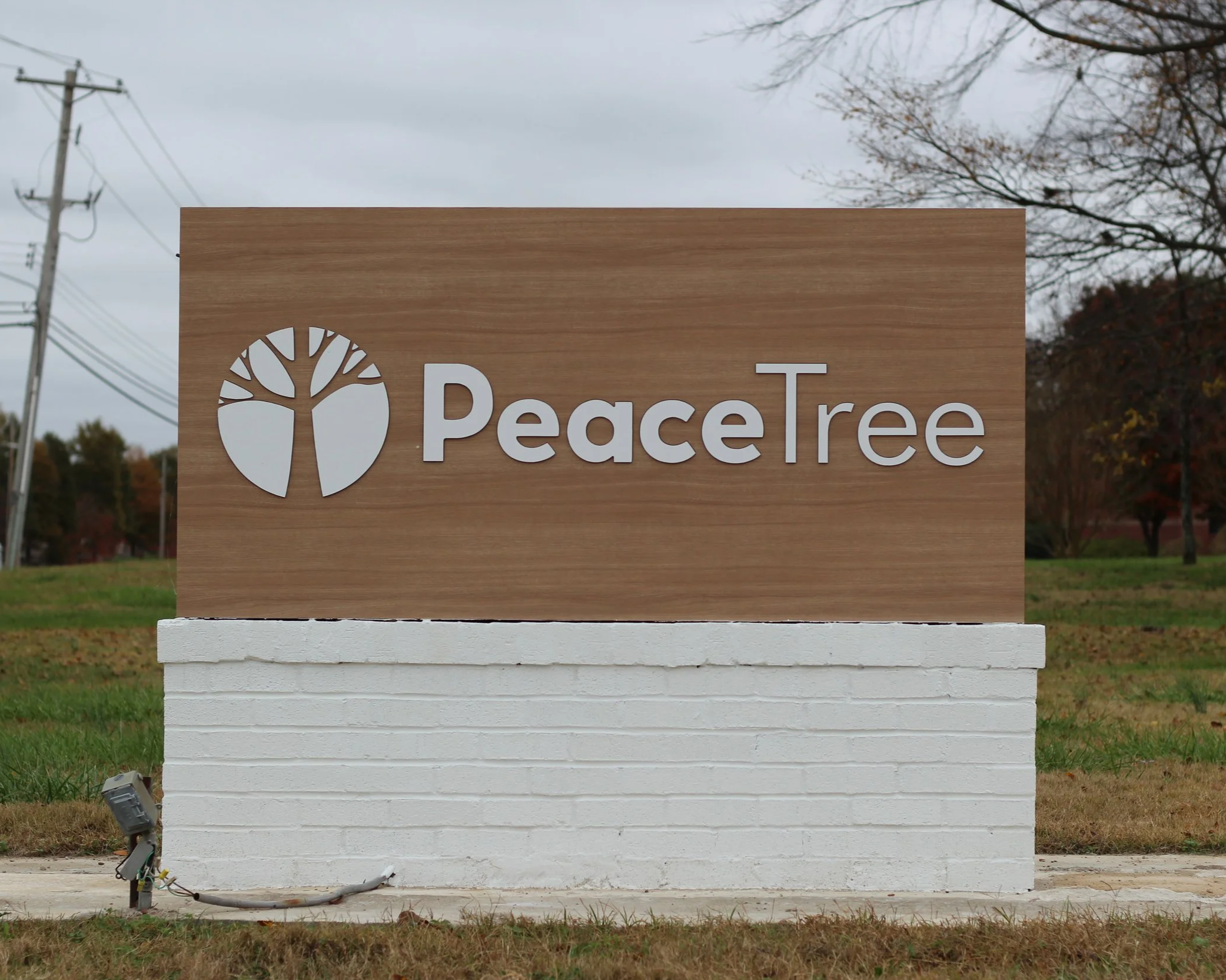 PeaceTree