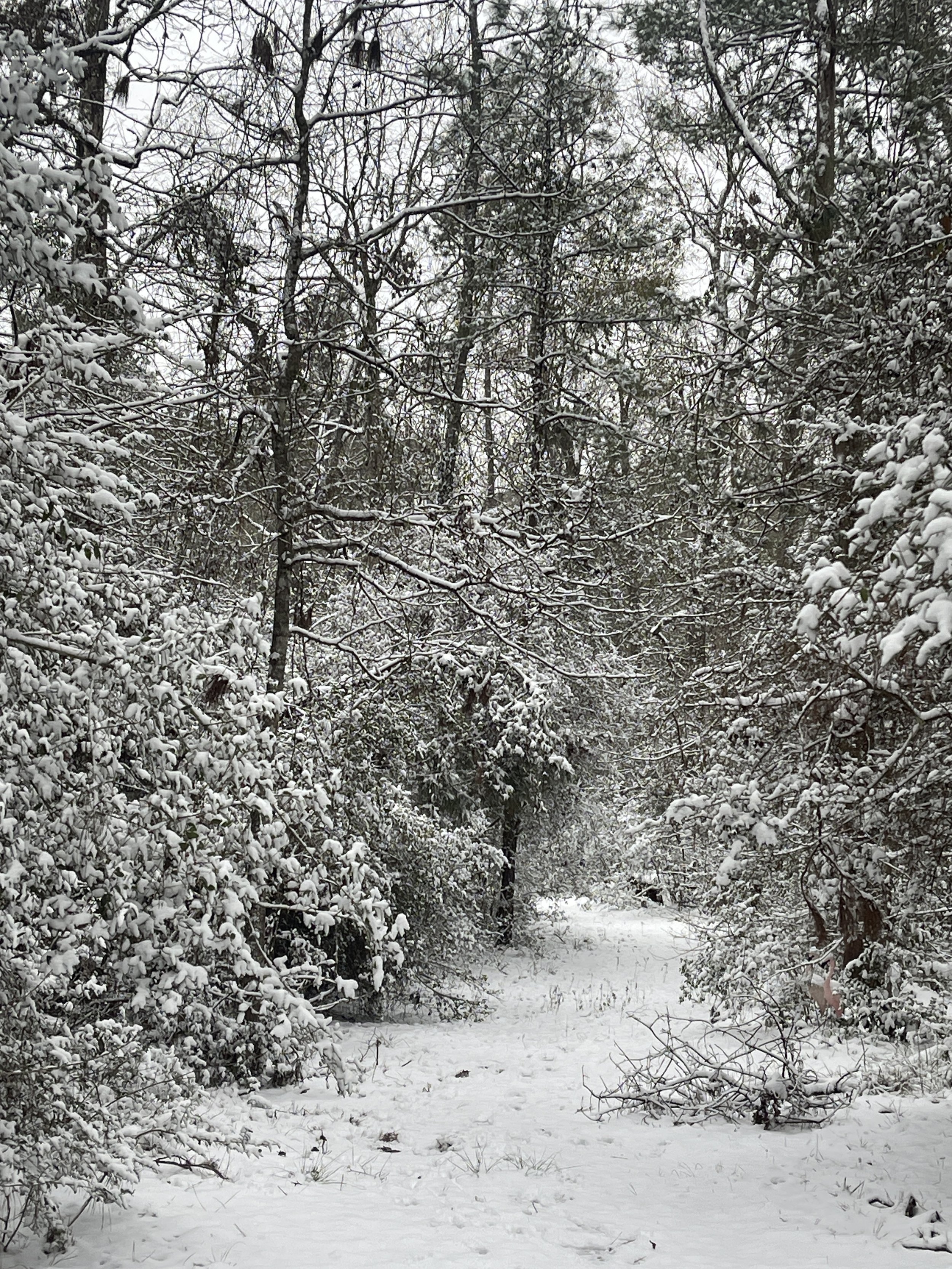 Where has January gone…