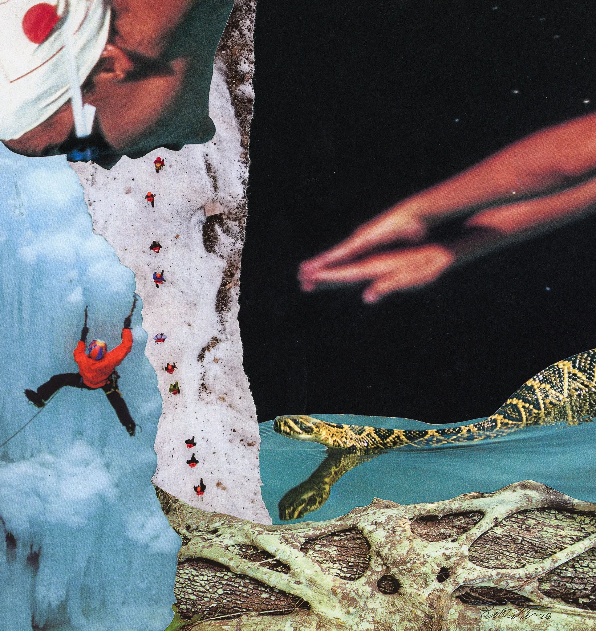 snake swim climb02-Pano.jpg