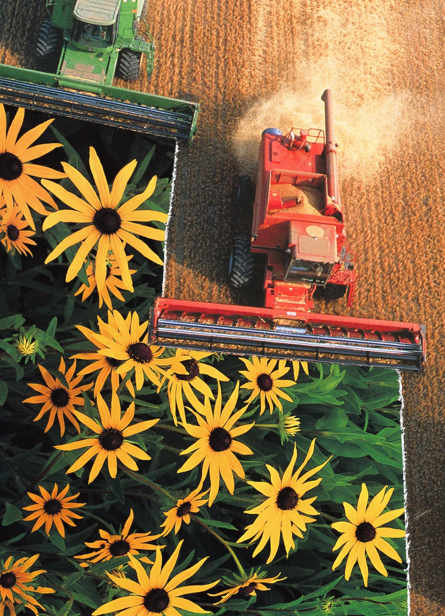 The Steady Refinement of Sweeping Prairies