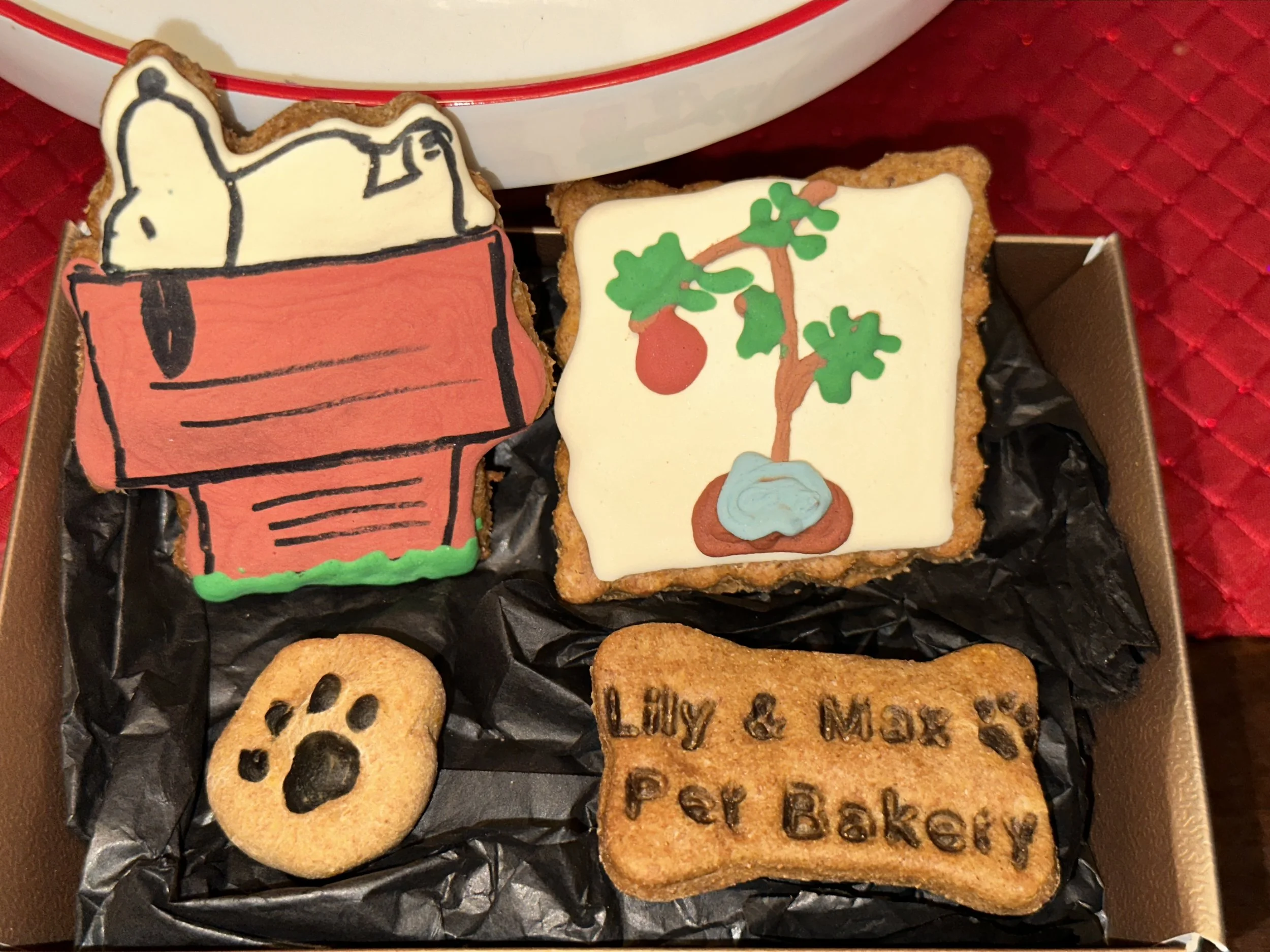 Snoopy Christmas