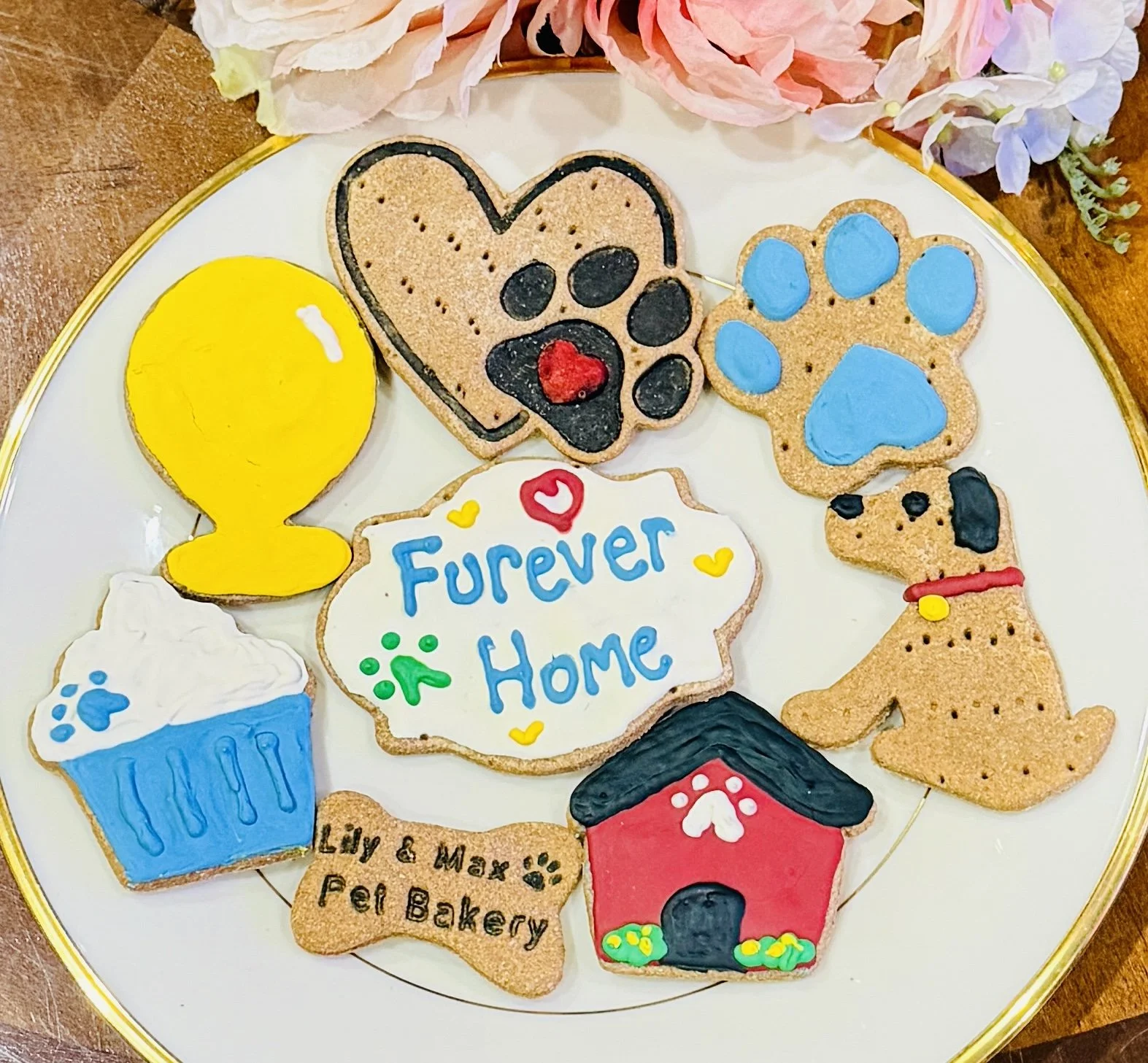 Fur-Ever Home