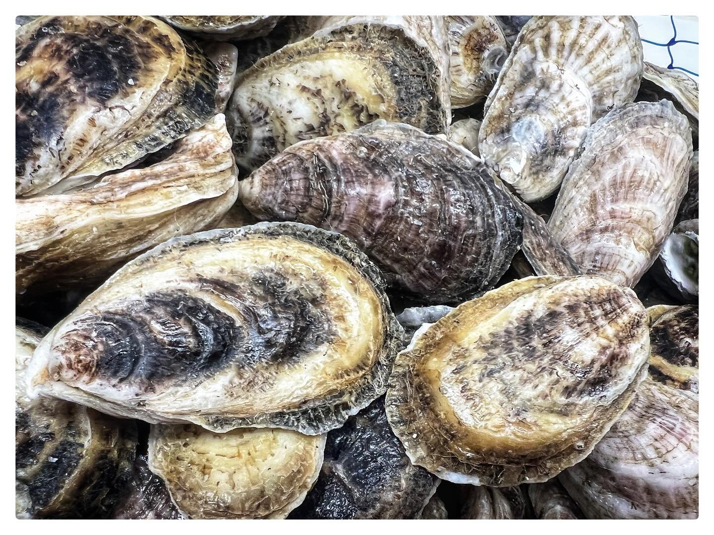 ClearWater Oyster Gardens of Texas | TX  These ClearWater oysters are grown in the magical Aransas Bay ecosystem that we call home and fish on a daily basis. These mariculture oysters are cultivated and harvested without having to destroy the natural