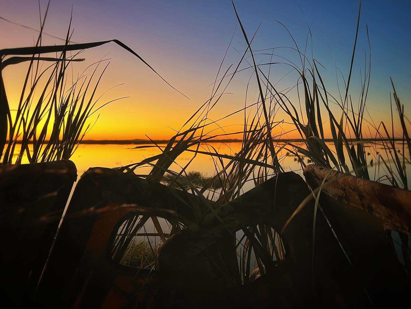Sunrise and Ducks | TX  Spectacular early morning on the water with Capt Will @caveman.outdoors having a look at the annual migration of waterfowl through this little slice of paradise on the Texas coast. #duckhunting #ducks #sunrise #riseandgrind #h