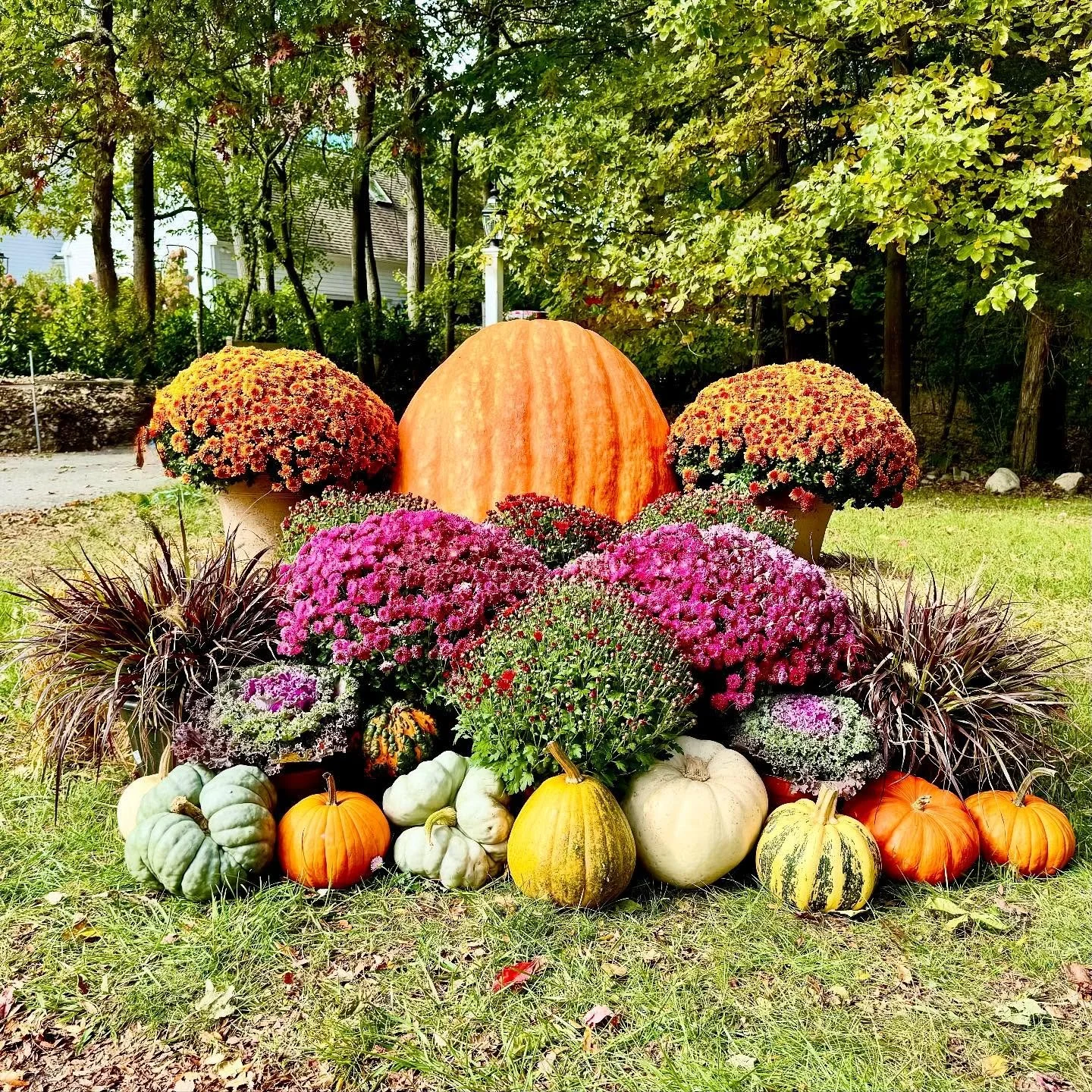 π Guess the Giant Pumpkin’s Weight! π
The homeowners of our custom build can’t hand out candy this year (their house is under construction!), but we still wanted them to join in the fun. So we brought in a massive pumpkin!
Think you c
