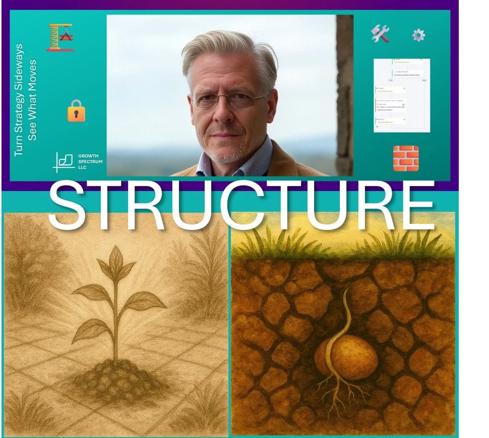 The image displays a collage with three sections illustrating the concept of structure. The top section shows a man with gray hair and glasses looking serious, with icons of tools and a chat box beside him. The bottom left section has a sketch of a plant growing from the soil, and the bottom right section depicts a diagram of a seed underground with roots growing downward. The word 'STRUCTURE' is prominently overlaid across the middle of the image.