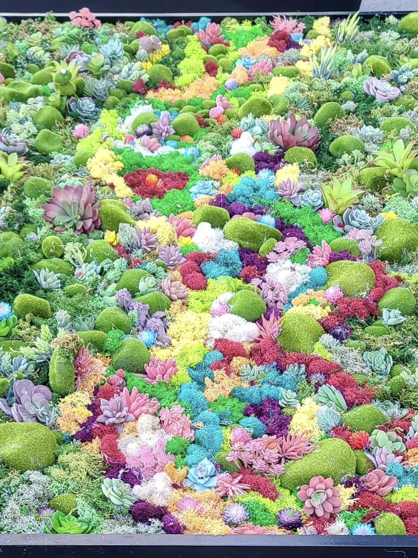 Moss Art Large 1.jpg