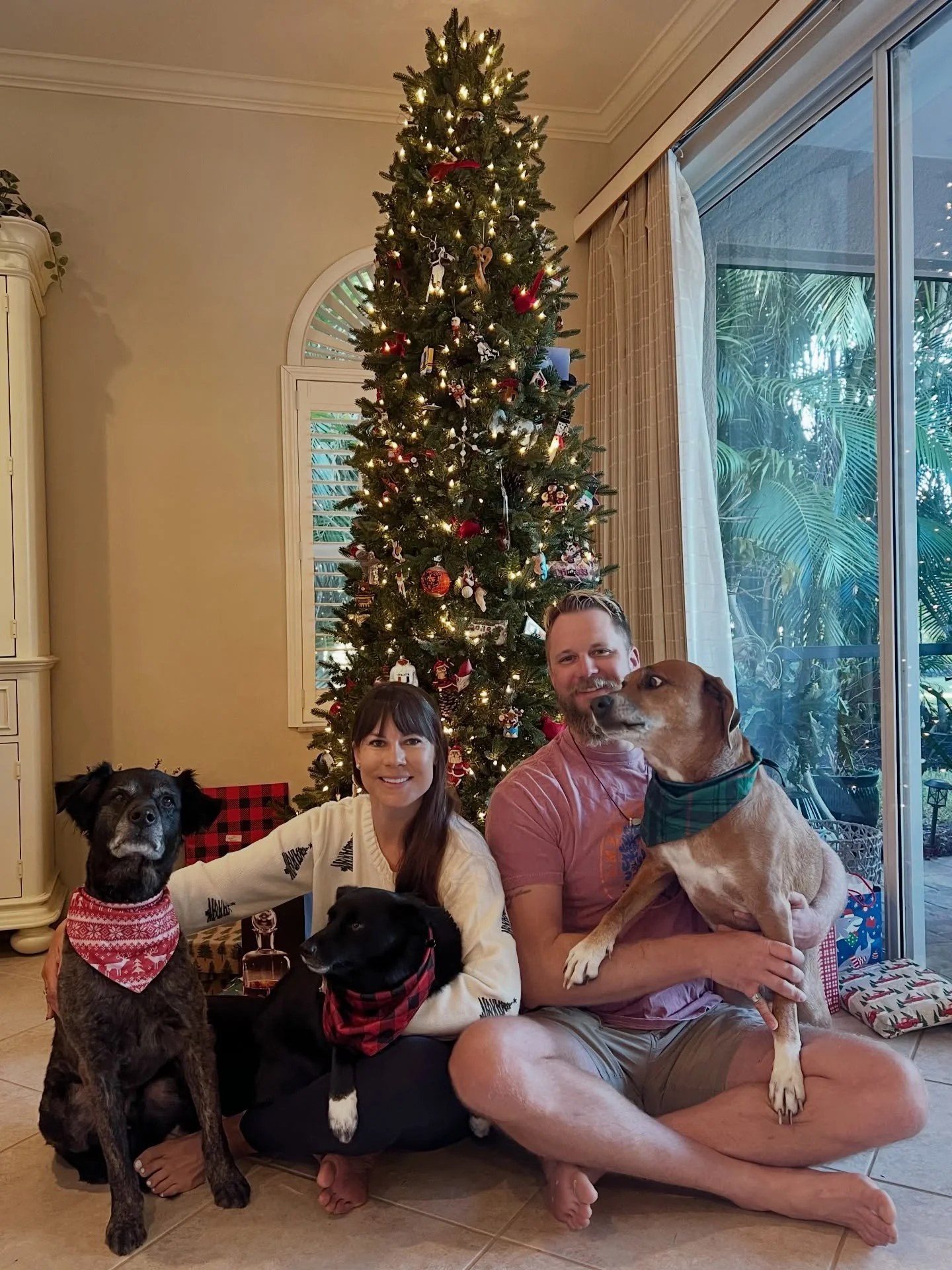 Merry Christmas from the Plein Pack 🎄✨🥂🎅🏽🧑🏾&zwj;🎄

🐶Dawson (10)
🐶Rackie (4.5)
🐶Boots (2.5)