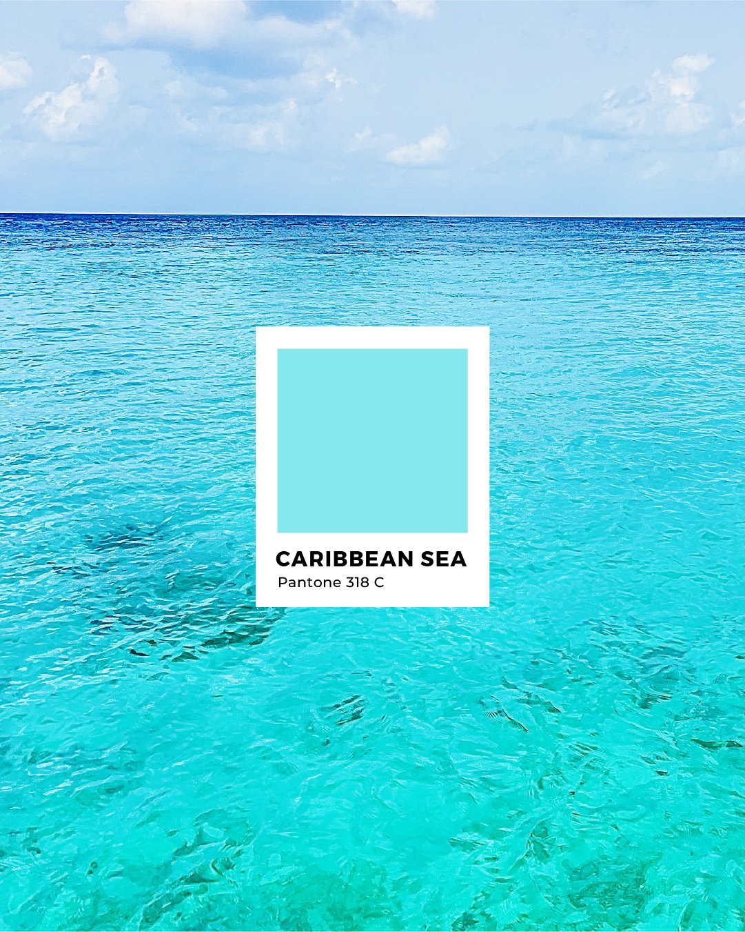 LockenCreative_ColorCrush-4.jpg