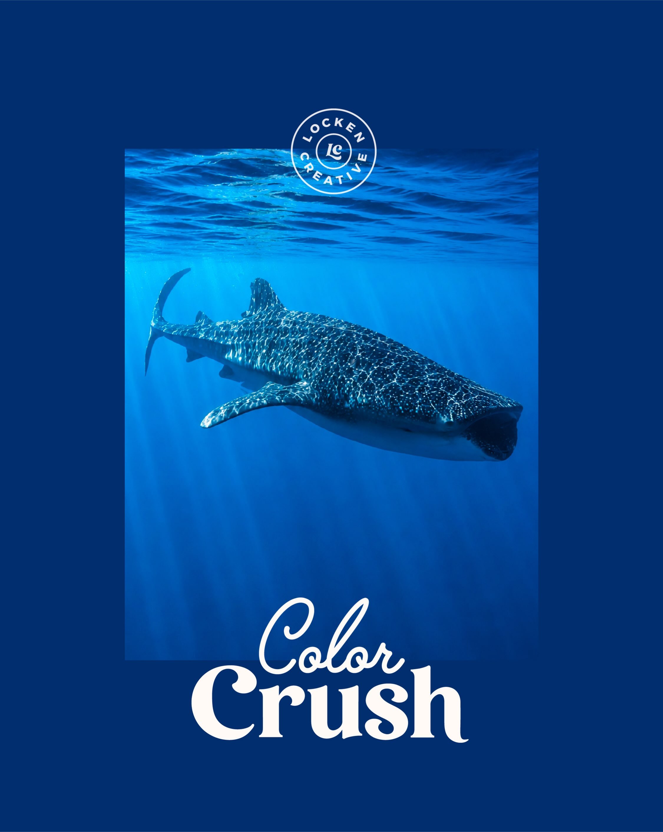 This Color Crush palette is inspired by the colors, creatures, and quiet wonder of the ocean.

Our latest adventure took us beneath the surface, where whale sharks, vibrant coral reefs, and colorful marine life create a world full of inspiration. Dee