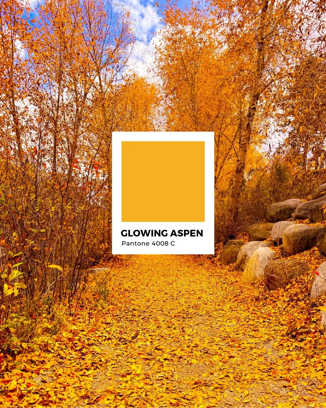 LockenCreative_ColorCrush_Fall-27.jpg