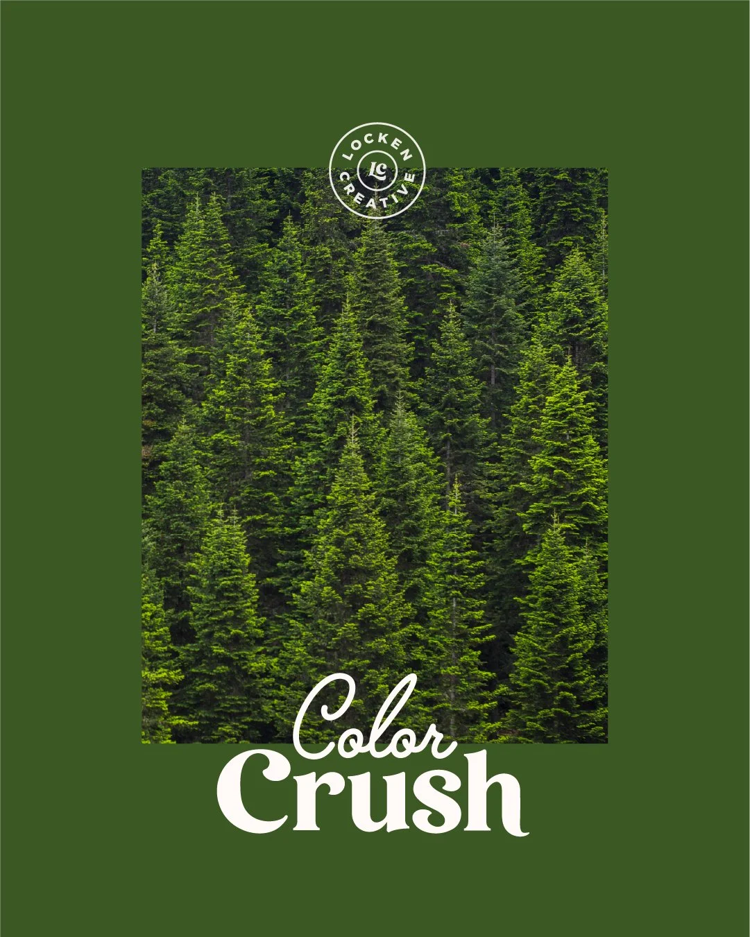 LockenCreative_ColorCrush_Fall-30.jpg