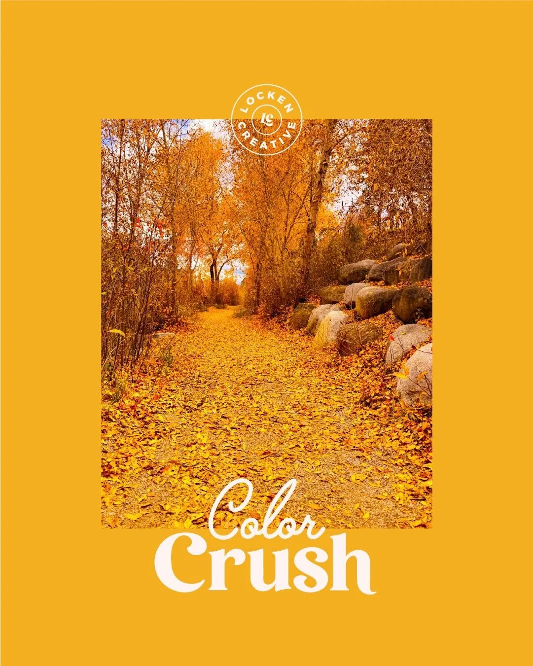 New Color Crush: Colorado Fall

Fall in Colorado just hits differently. Cool, crisp mornings. Warm, sunny afternoons. Golden aspens putting on their annual show. Towering evergreens. And those impossibly blue skies that make the colors feel even brig