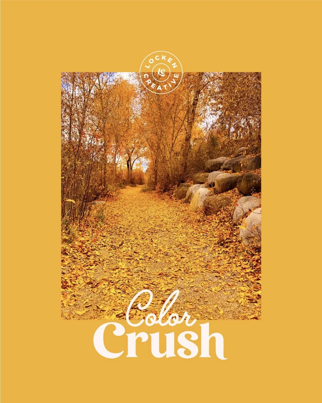 LockenCreative_ColorCrush2-26.jpg